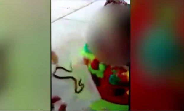 Mãe deixa filha de um ano ser picada por cobra e motivo é 'bizarro'