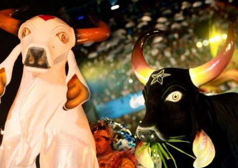 Encontro das torcidas azul e vermelha agita a sexta-feira em Manaus