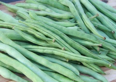 Vegetal é considerado mais nutritivo que o feijão 