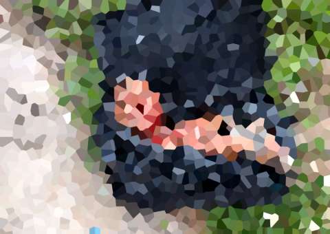 Corpo de homem esquartejado é encontrado em mala em Manaus