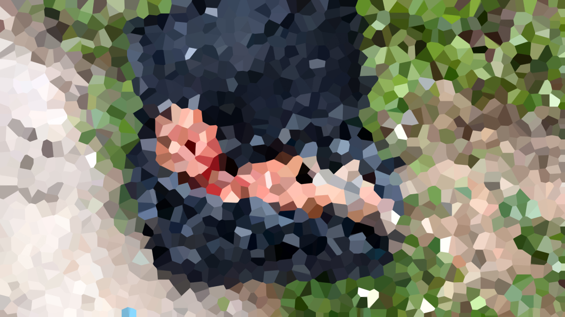 Corpo de homem esquartejado é encontrado em mala em Manaus