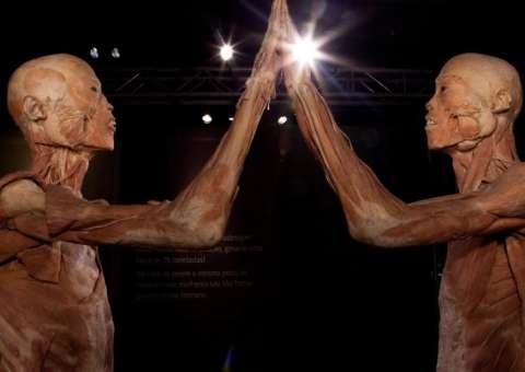Exposição O Fantástico Corpo Humano chega em Manaus