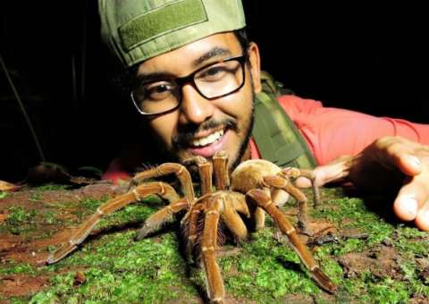  Minicurso de manejo de aranhas e serpentes será realizado neste sábado