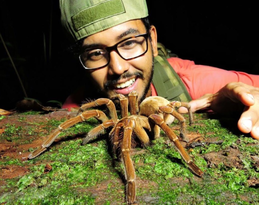  Minicurso de manejo de aranhas e serpentes será realizado neste sábado