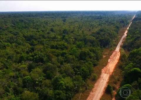Justiça embarga obras de manutenção e conservação da BR-319