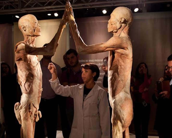 Exposição sobre o corpo humano terá ciclo de palestras em Manaus