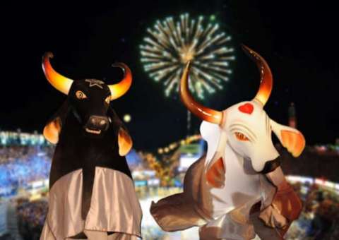 Banco de sangue busca reforço de 100 bolsas para o período do Festival Folclórico  