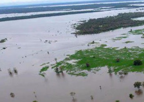  Criança de 3 anos desaparece em rio no Amazonas