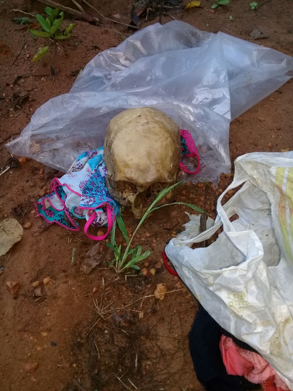 Cabeças humanas são furtadas de cemitério para ritual de magia negra no Amazonas