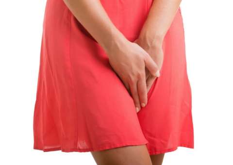 Planta nativa é indicada para inflamações ginecológicas 