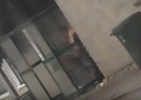 Em plena luz do dia, casal é filmado fazendo sexo em ponto de ônibus