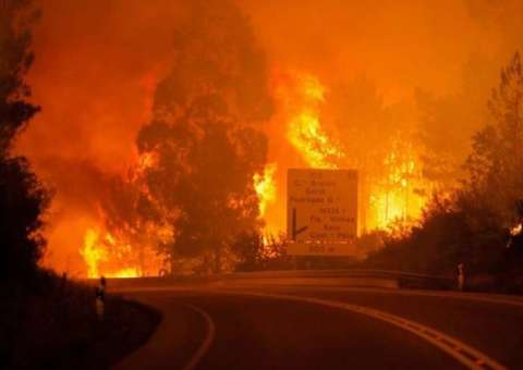 Incêndio florestal se alastra e mata ao menos 24 pessoas em Portugal