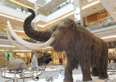 Com réplicas de 8 metros shopping em Manaus recebe Gigantes da Era do Gelo