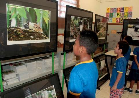 Escola realiza ação de conscientização para preservação ao Sauim de Coleira em Manaus  