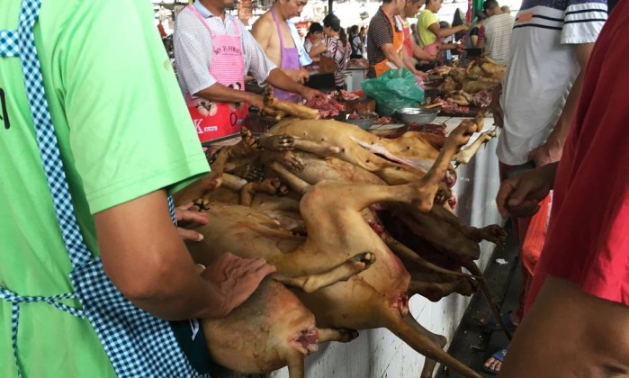 Mesmo com polêmica, festival de carne de cachorro acontece na China 