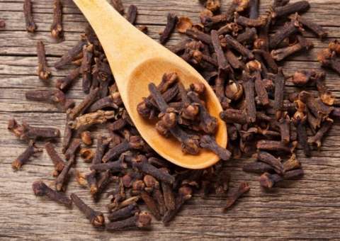 Cravo-da-índia tem ação estomacal e antisséptica   