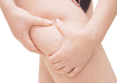Planta tem ação eficiente na redução de gordura abdominal e celulite 