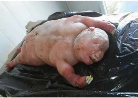 Semelhança de cordeiro com humano assusta moradores 