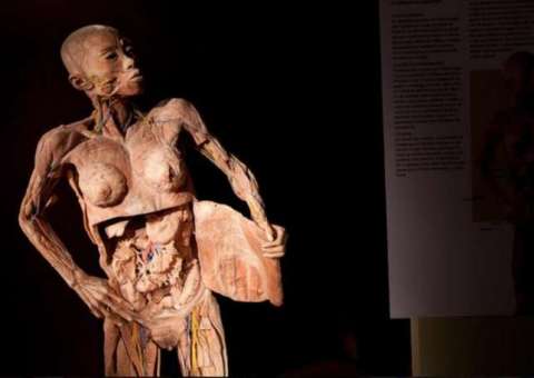 Exposição internacional O Fantástico Corpo Humano continua em Manaus