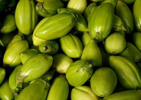 Fruta de sabor amargo é excelente em casos de distúrbios hepáticos 