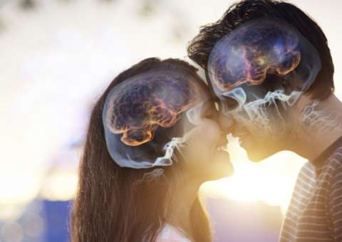 Sexo melhora o funcionamento do cérebro