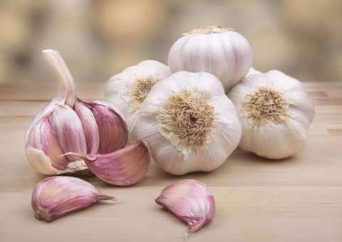 Conheça 3 antibióticos naturais que ajudam a combater bactérias 