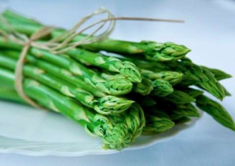 Vegetal auxilia em casos de artrite, câncer e doenças autoimunes  