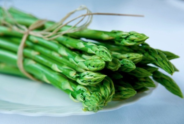 Vegetal auxilia em casos de artrite, câncer e doenças autoimunes  