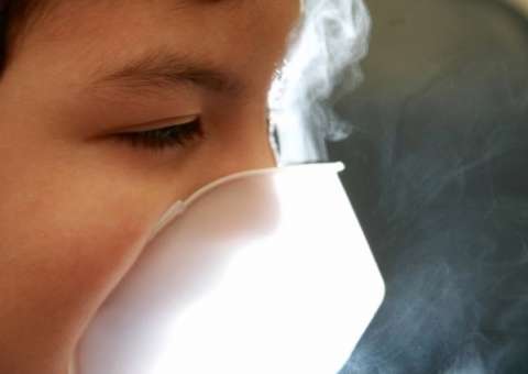 Fonte de vitamina C, espécie de abobrinha ajuda em casos de asma 