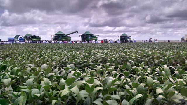 Caixa começa a liberar crédito do Plano Safra na próxima semana