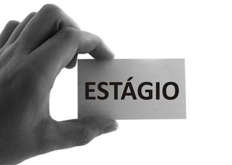 Mais de 10 mil vagas de estágio devem ser abertas na Região Norte 