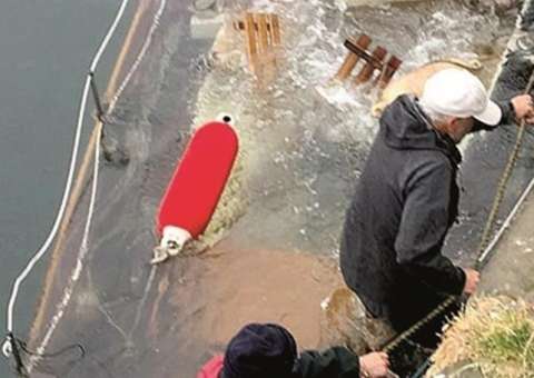 Homem investe todo dinheiro em iate de luxo, mas algo terrível acontece