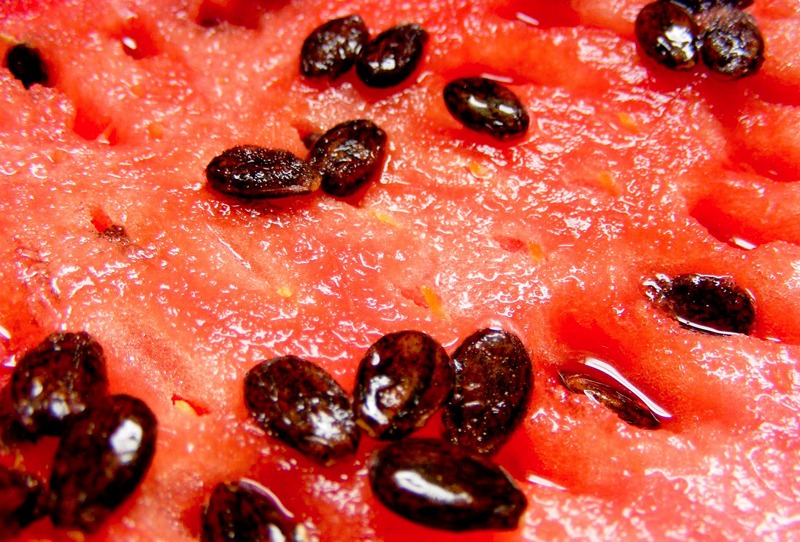 Ferva sementes de melancia e em pouco tempo seu corpo terá esses benefícios 