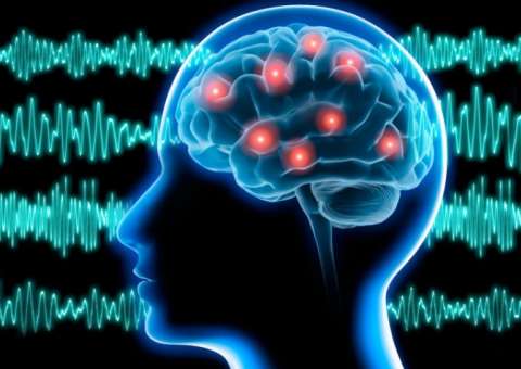 Espécie de flor é útil no tratamento contra epilepsia 