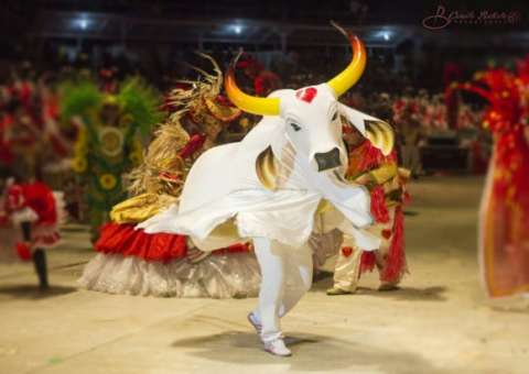 Boi-bumbá Garantido solicita suspensão de repasse de recursos para o Festival Folclórico