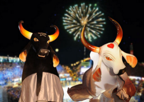 Conheça os 10 jurados do Festival de Parintins 2017