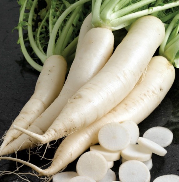 Vegetal é indicado para dissolver cálculos na bexiga e rins 