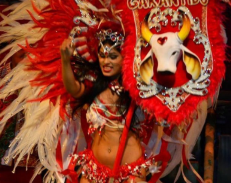 Porta-Estandarte do Garantido deixa posto horas antes da apresentação; Veja quem substitui