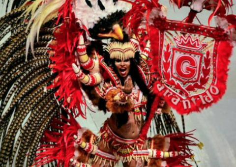 Em menos de 24 horas, Garantido substitui novamente Porta-Estandarte 