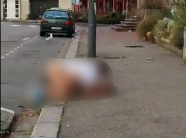 Na calçada, casal é filmado fazendo sexo em plena luz do dia