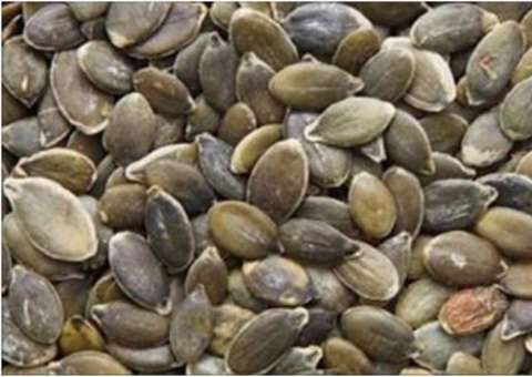 Não jogue mais essas sementes fora: Controlam bronquite, diabetes e prisão de ventre