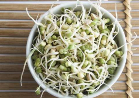 Broto de Feijão contém nutrientes e vitaminas energéticas 