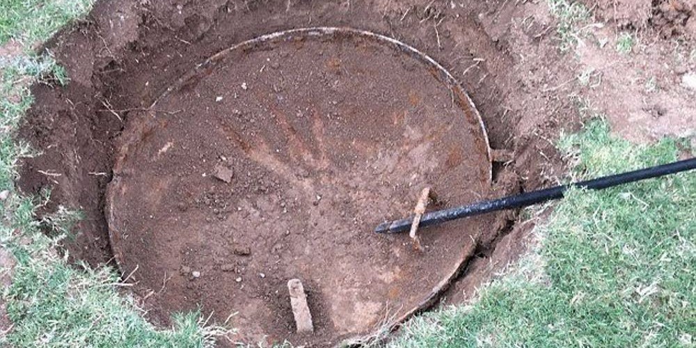 Após perceber que nada crescia em parte do jardim, homem descobre algo que vai te surpreender