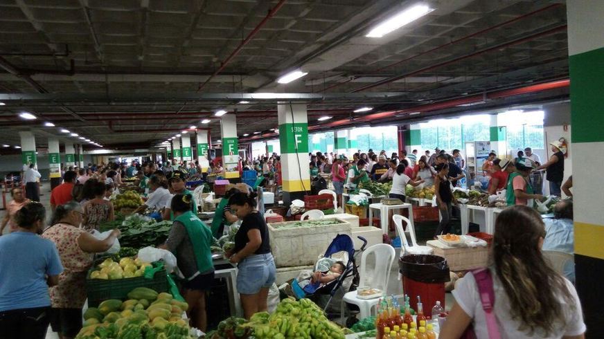 Feira sustentável em shopping de Manaus já gerou 2 milhões para agricultores