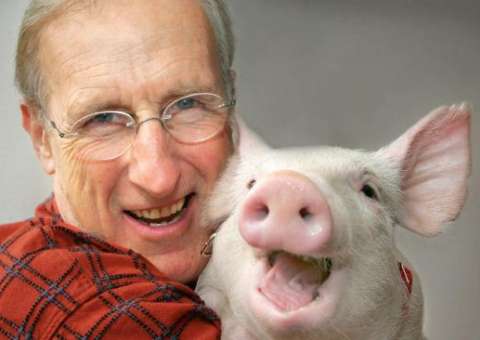 Ator de Babe Um Porquinho Atrapalhado é preso por não pagar multa ambiental