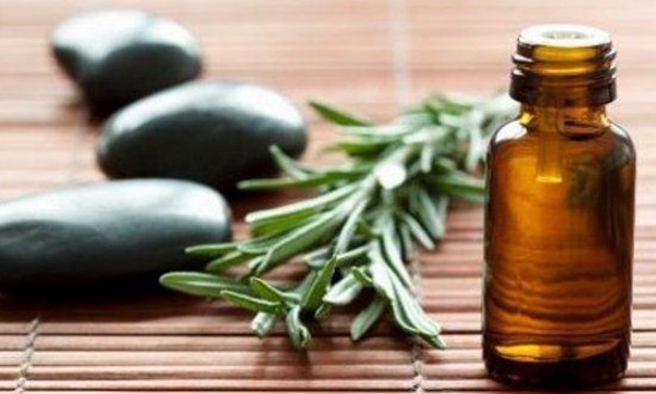 Óleo de erva fortalece sistema imunológico e ajuda a melhorar memória