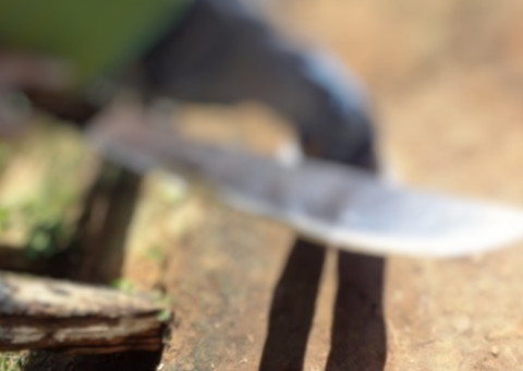 Homem é preso suspeito de invadir casas com terçado para cortar pessoas no AM