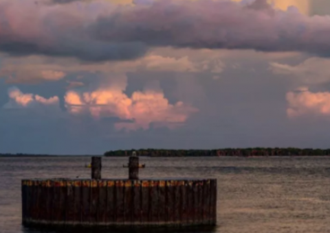 Biólogo registra fenômeno inusitado ao tirar foto de paisagem
