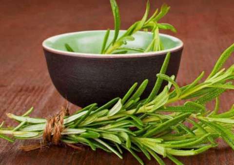 Essa erva limpa vagina, elimina fungos e trata mioma