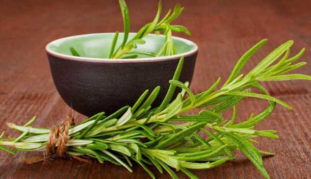 Essa erva limpa vagina, elimina fungos e trata mioma